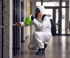 Best Mold Odor Removal Services in USA